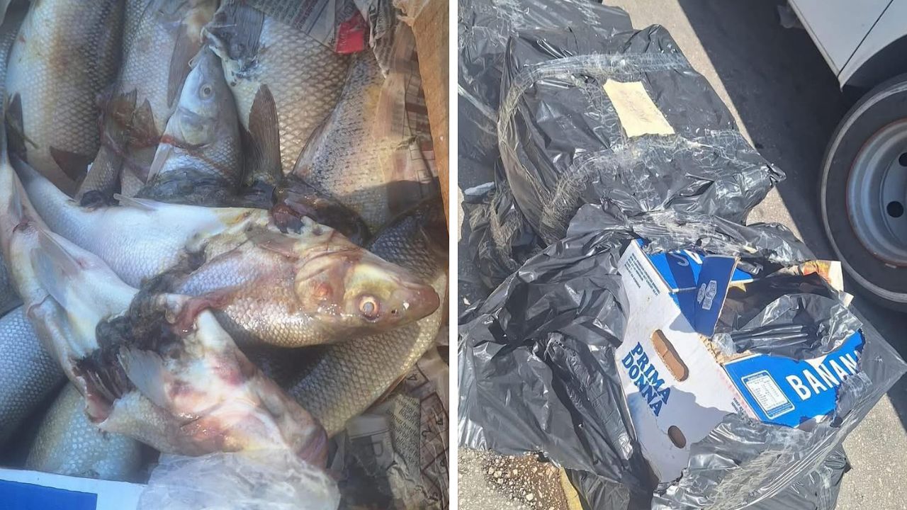 Antalya’da 100 Kilogram Güvensiz Su Ürünü Ele Geçirildi