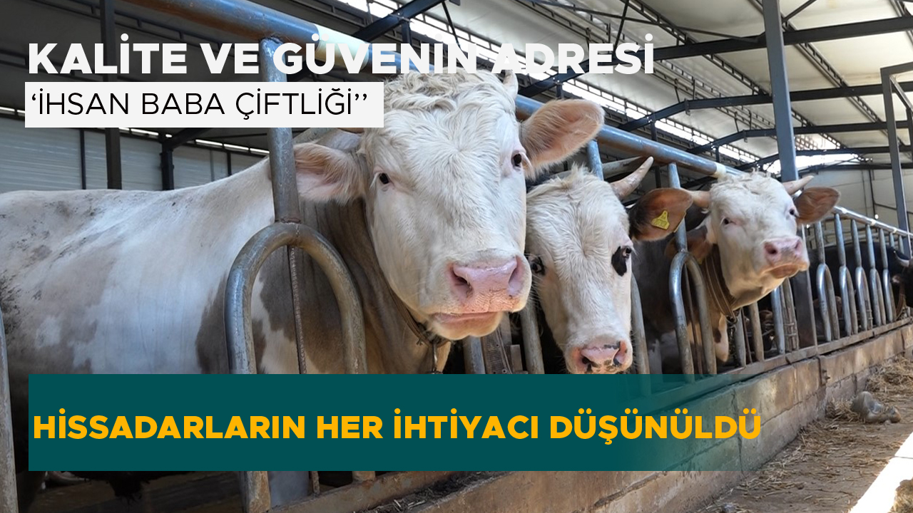 İhsan Baba’nın Çiftliği’nde Bayram Coşkusu Yaşanıyor!