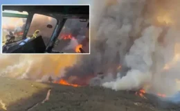 Aliağa’da Orman Yangını: Evler Tahliye Ediliyor!