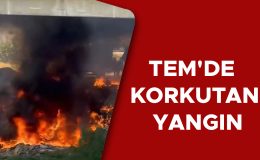 Köprü Altında Yangın, Sürücüler Tedirgin Oldu!