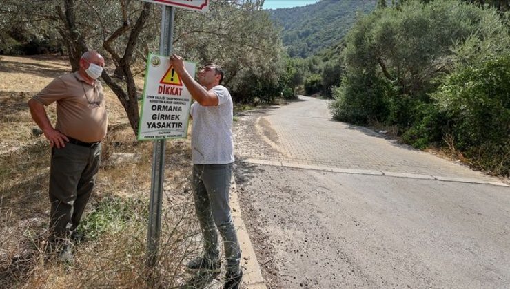 Bolu’da Ormanlara Giriş Yasaklandı, Pikniğe Sınırlama Geldi!