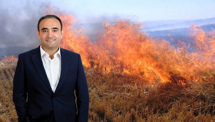 Anız Yakma: Toprağı ve Doğayı Tehdit Ediyor!