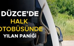 Yolda Yılan Paniği: Otobüste Korku Dolu Anlar!