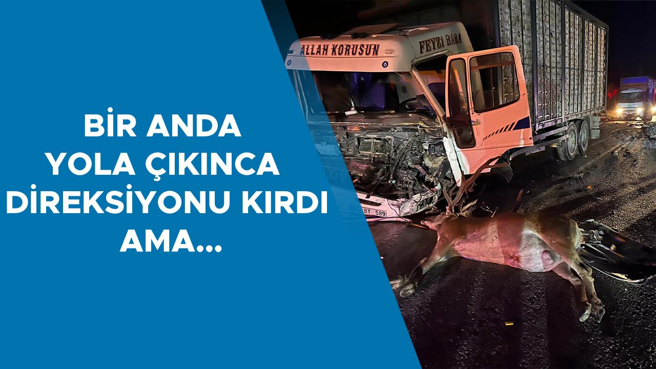 Mudurnu’da feci kaza: Bir ölü, iki yaralı!