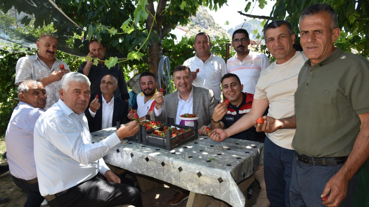 Eğirdir’de Topraksız Tarımda İlk Çilek Hasadı!