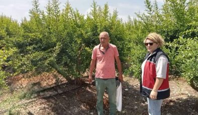 Antalya’da Biyolojik Mücadele ile Tarımda Yenilik!