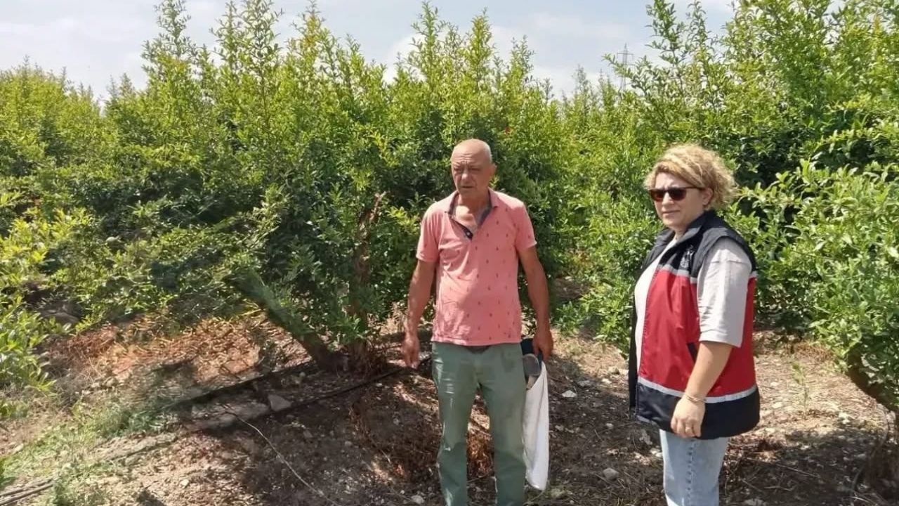 Antalya’da Biyolojik Mücadele ile Tarımda Yenilik!